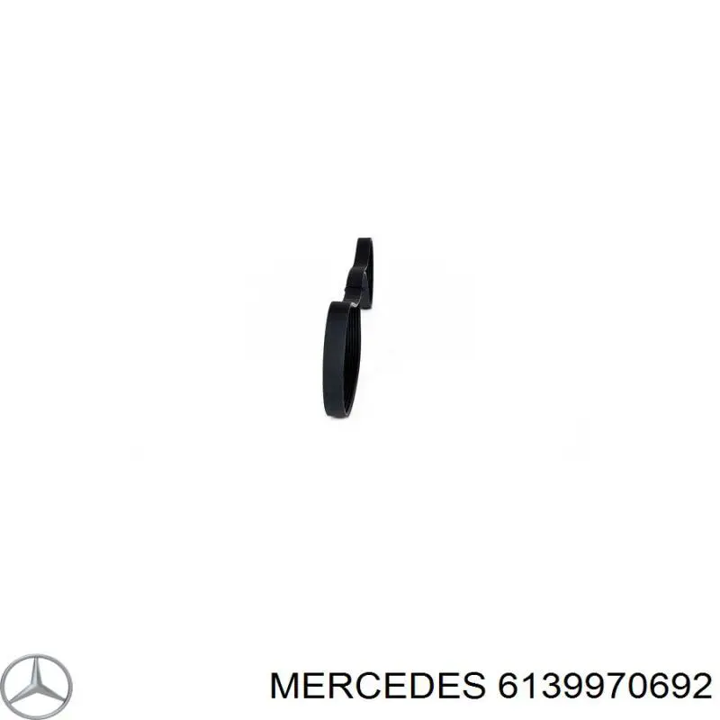 Correa de transmisión trapezoidal Continental/Siemens 2XPB1230 precio, desde 54,13 EUR