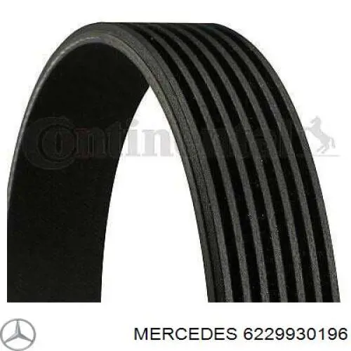 6229930196 Mercedes correa trapezoidal