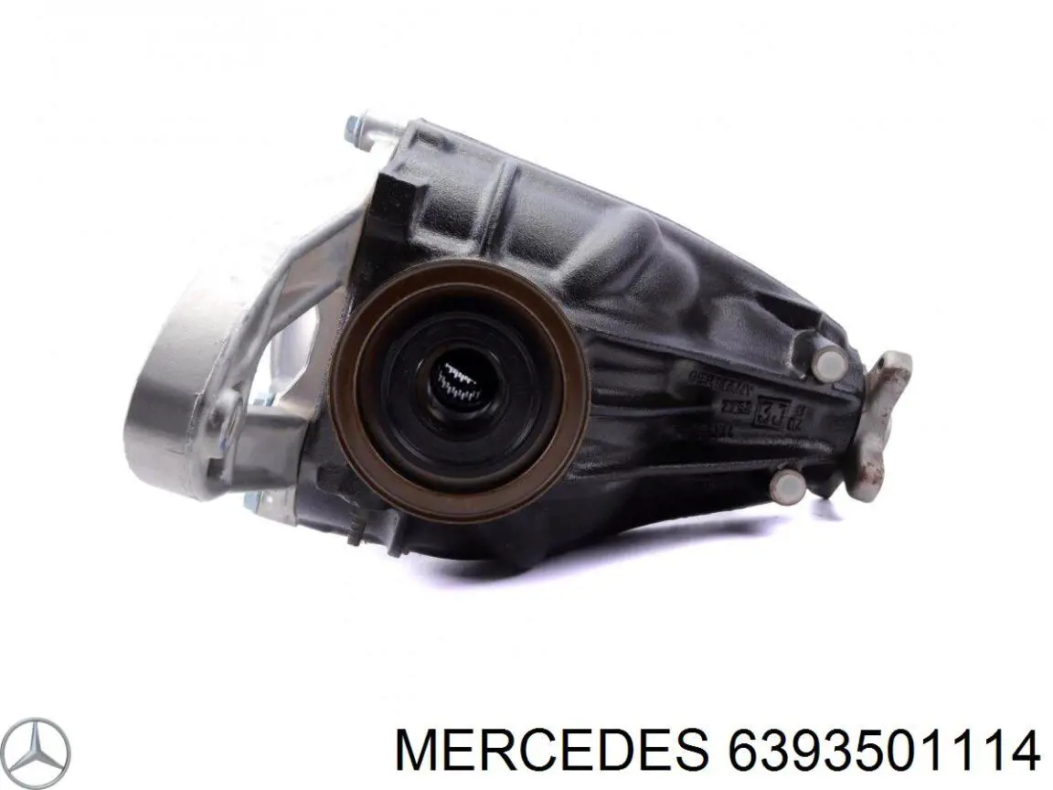 Grupo trasero Mercedes 6393501114 precio, desde 588,06 EUR