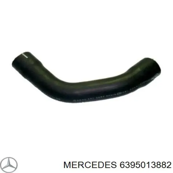 6395013882 Mercedes manguera refrigerante para radiador inferiora