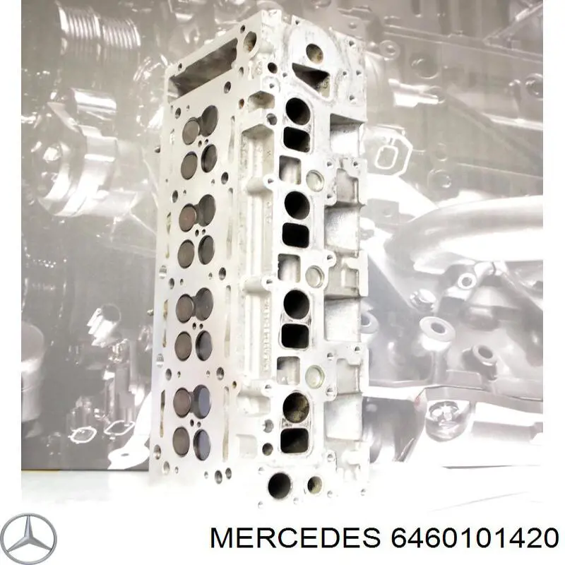 Cabeza de cilindro Mercedes 6460101420 precio, desde 671,11 EUR