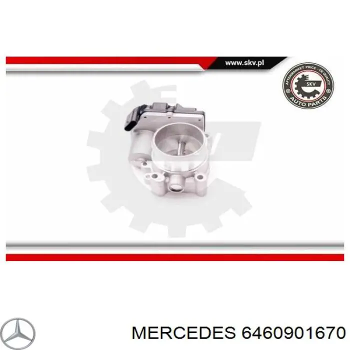 Cuerpo de aceleración completo ERA 556294 precio, desde 83,63 EUR