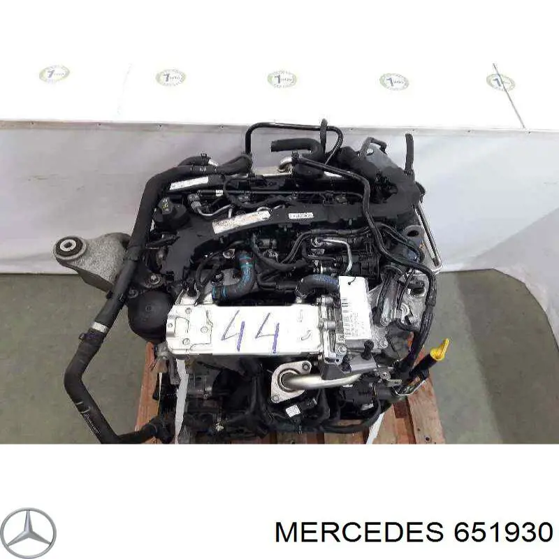 Comprar 651930 Mercedes Motor completo