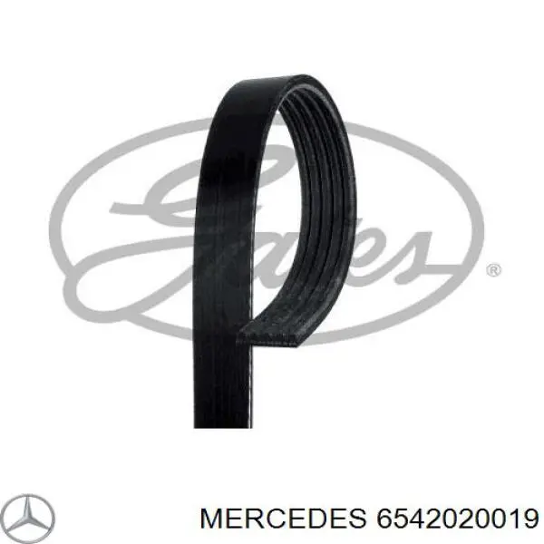 6542020019 Mercedes polea inversión / guía, correa poli v