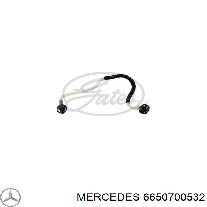 Tubería de combustible desde la válvula de corte hasta la bomba de inyección Mercedes 6650700532 precio, desde 20,87 EUR