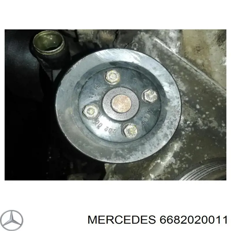 6682020011 Mercedes polea, bomba de agua