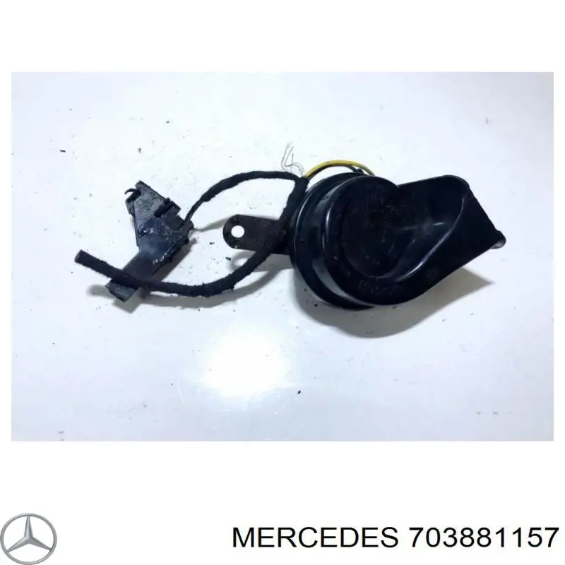 703881157 Mercedes