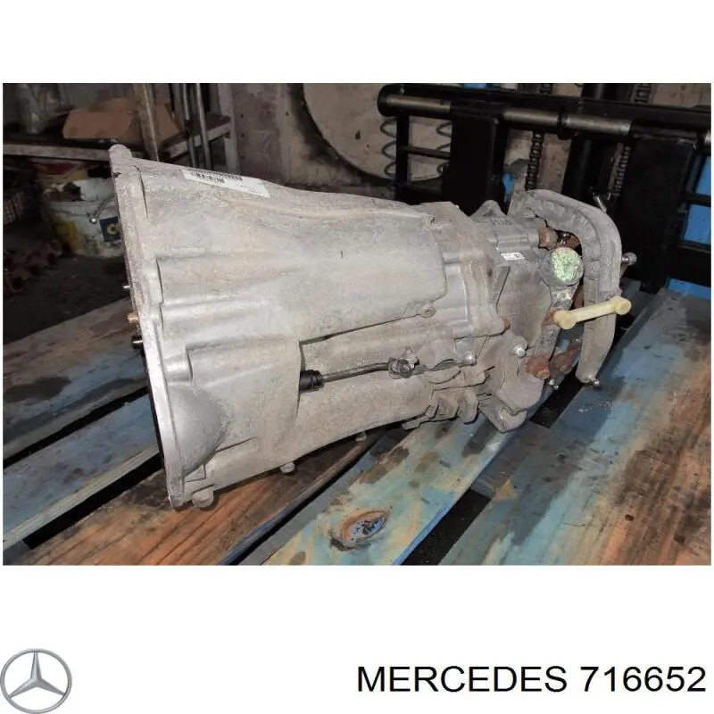 716652 Mercedes