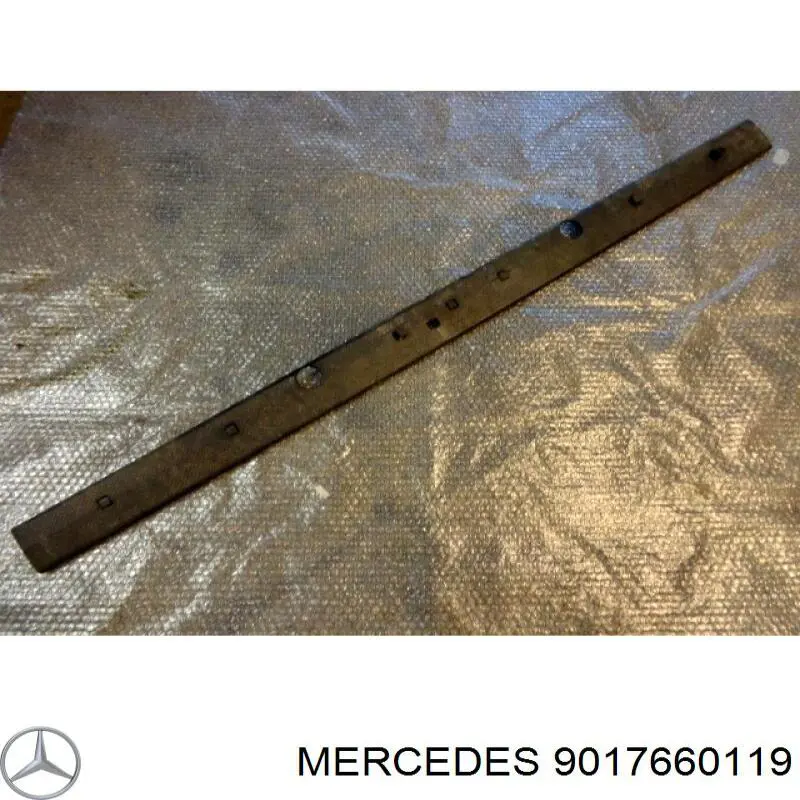 9017660119 Mercedes revestimiento inferior de la puerta trasera izquierda