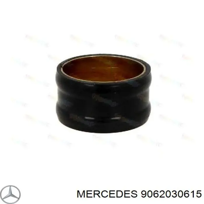 9062030615 Mercedes