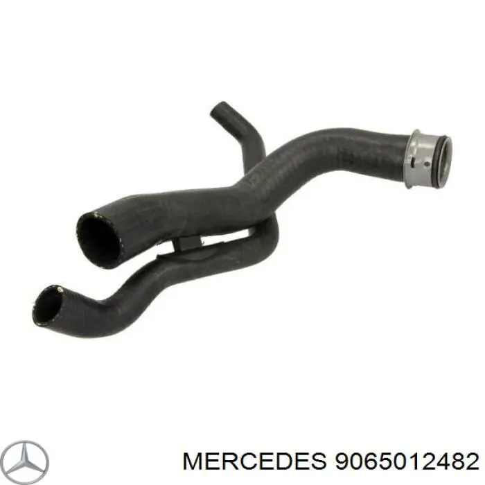 9065012482 Mercedes manguera refrigerante para radiador inferiora