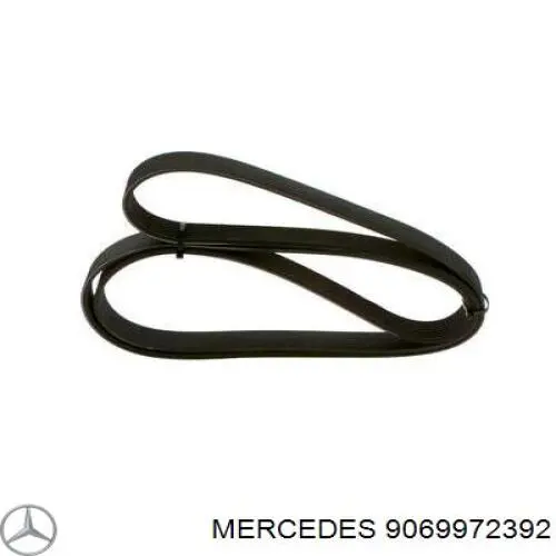 Correa de transmisión trapezoidal Mercedes 9069972392 precio, desde 30,30 EUR