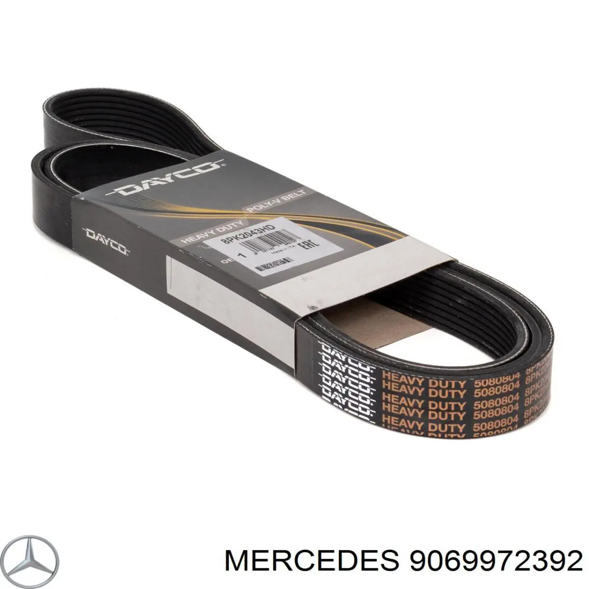 9069972392 Mercedes correa trapezoidal