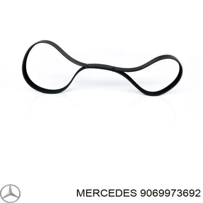 9069973692 Mercedes correa trapezoidal