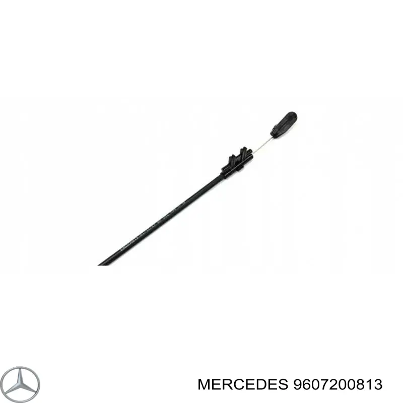 A960720081364 Mercedes