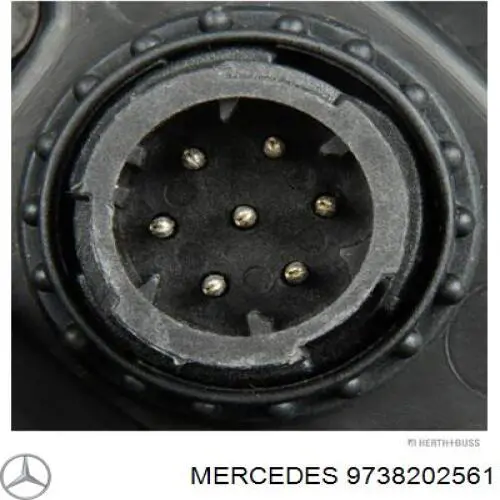 9738202561 Mercedes