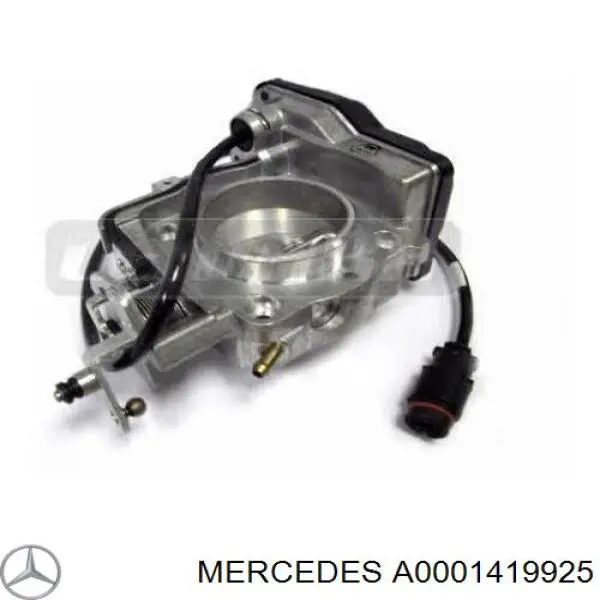 A0001419925 Mercedes cuerpo de mariposa completo