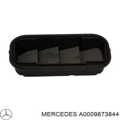 A0009873844 Mercedes