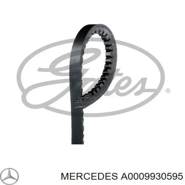 A0009930595 Mercedes Correa poly v