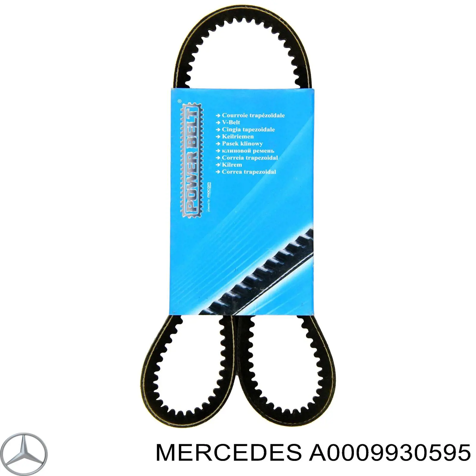 Correa de alternador A0009930595 Mercedes
