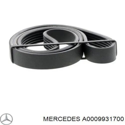 A0009931700 Mercedes Correa poly v
