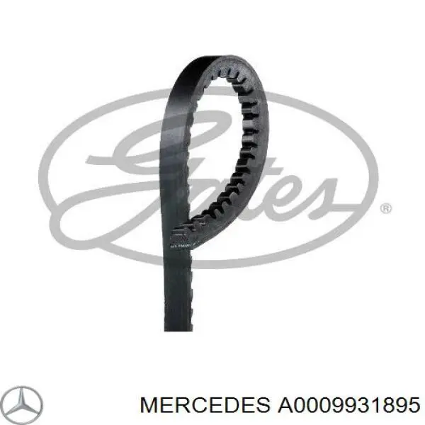 Correa de alternador 6469EXL Gates