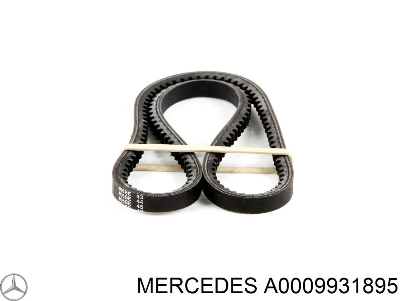 6469EXL Gates Correa poly v