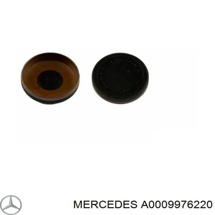 A0009976220 Mercedes tapón de culata