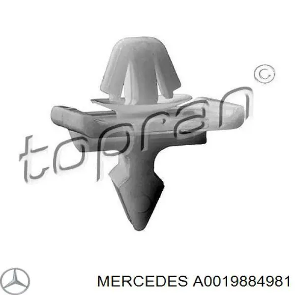 A0019884981 Mercedes clips de fijación de moldura de puerta
