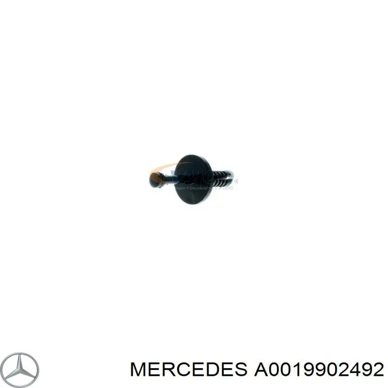  A0019902492 Mercedes