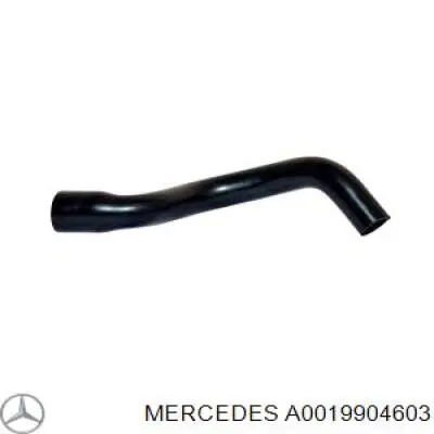  Mercedes A0019904603 precio, desde 1,75 EUR