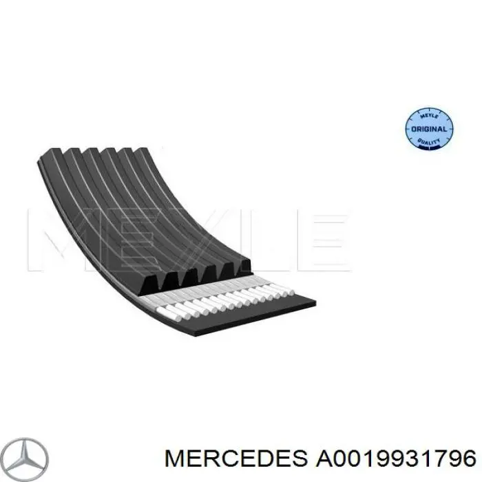 A0019931796 Mercedes correa trapezoidal