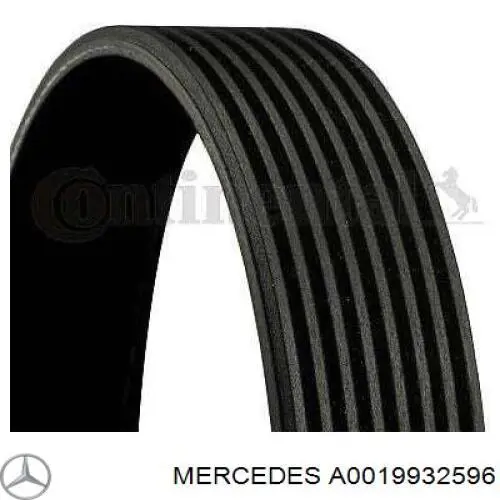 A0019932596 Mercedes correa trapezoidal