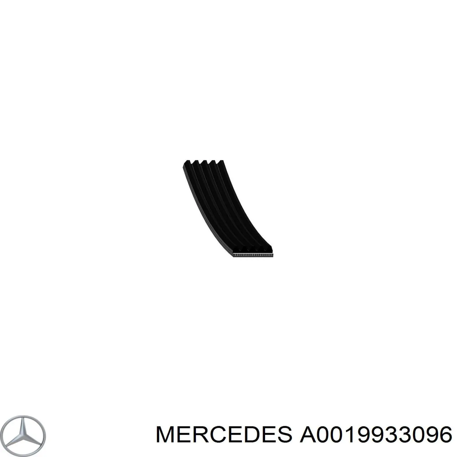 A0019933096 Mercedes correa trapezoidal