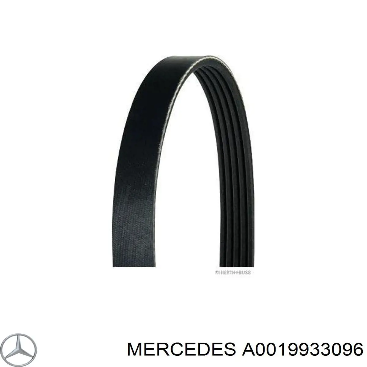 Correa de transmisión trapezoidal Mercedes A0019933096 precio, desde 15,25 EUR