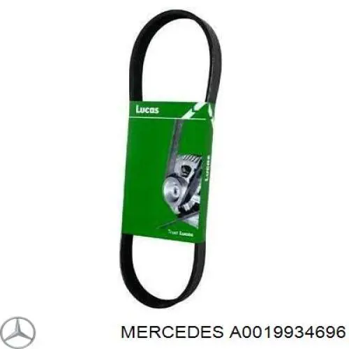 A0019934696 Mercedes correa trapezoidal