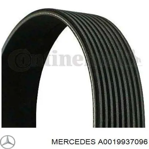 A0019937096 Mercedes correa trapezoidal