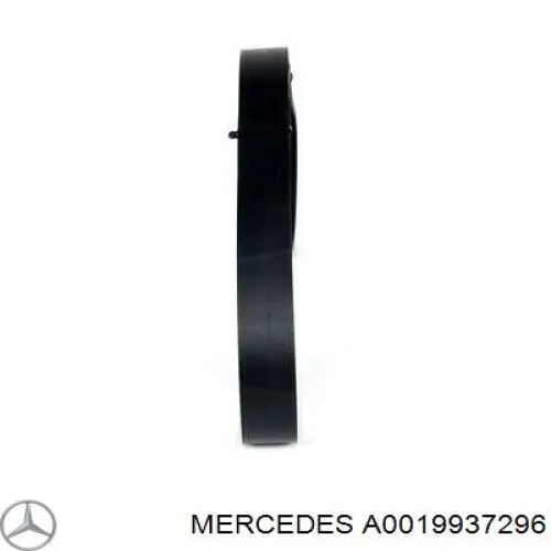 A0019937296 Mercedes correa trapezoidal