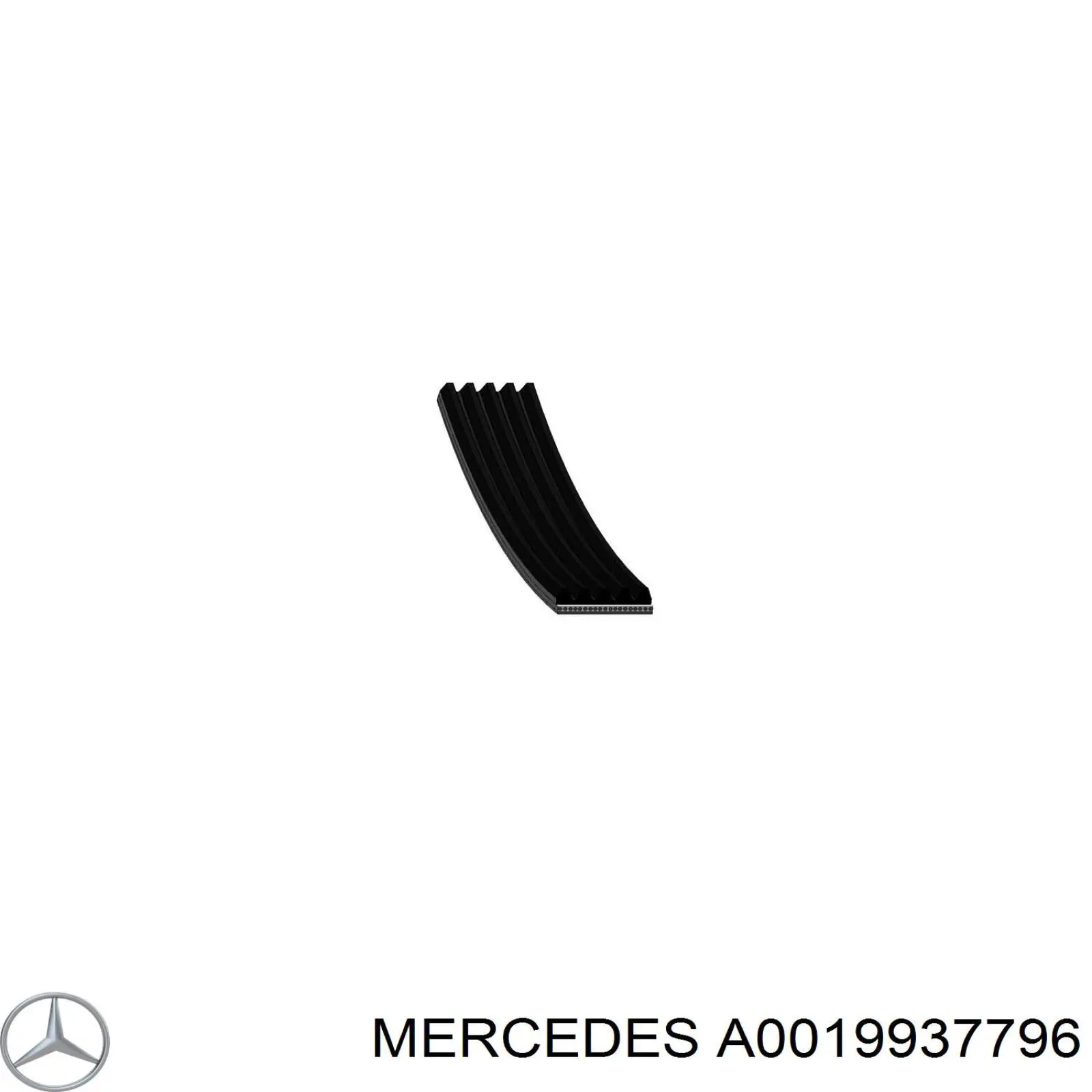 Comprar A0019937796 Mercedes Correa trapezoidal