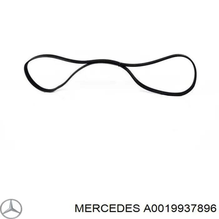 Comprar A0019937896 Mercedes Correa trapezoidal