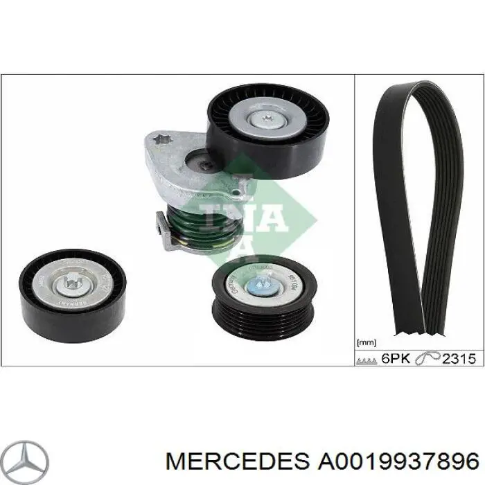 A0019937896 Mercedes correa trapezoidal