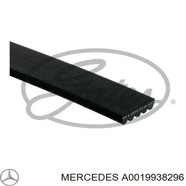 A0019938296 Mercedes correa trapezoidal