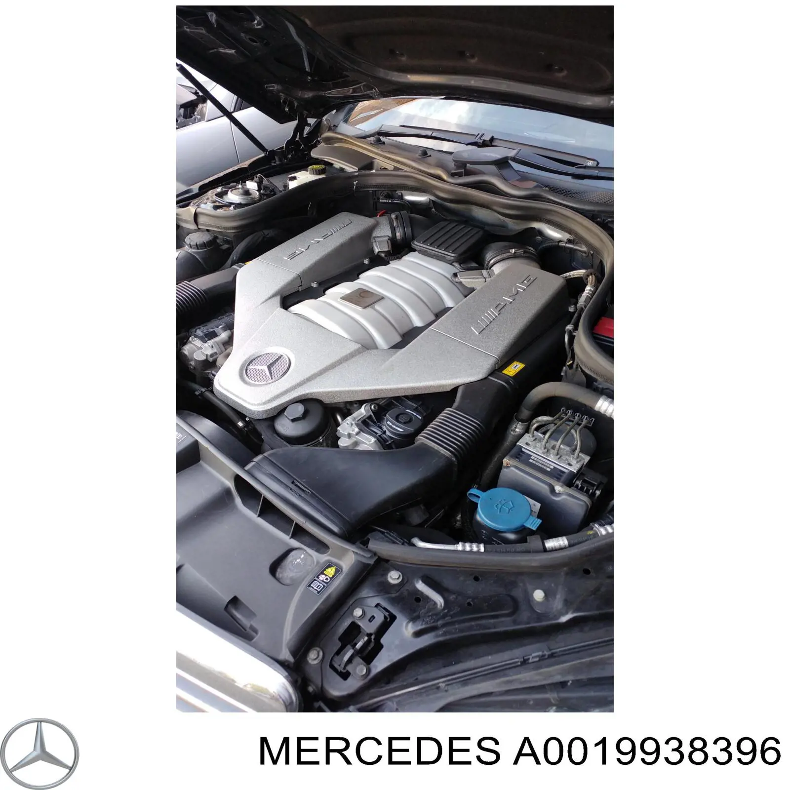 A0019938396 Mercedes Correa poly v
