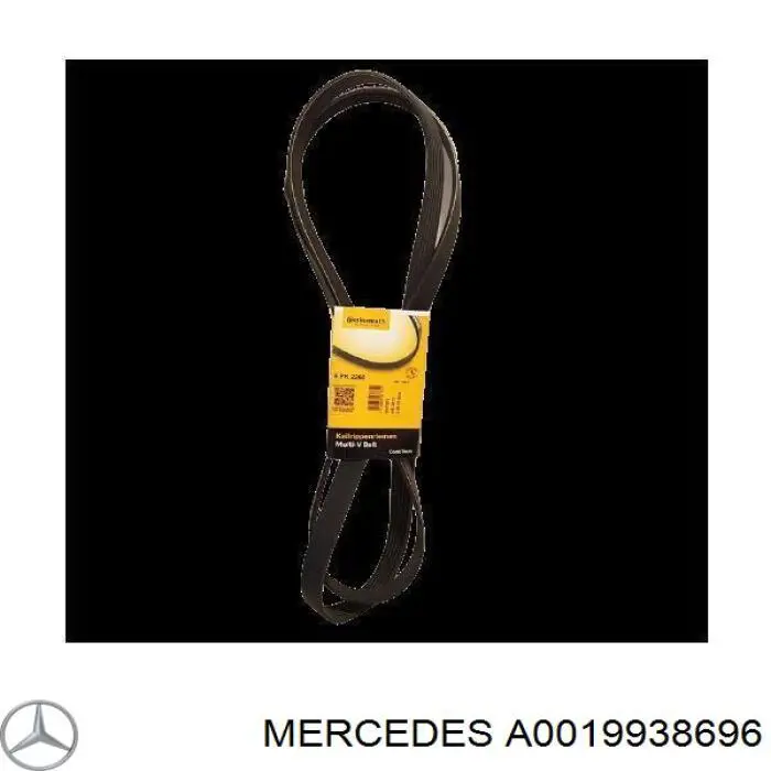Correa de transmisión trapezoidal Mercedes A0019938696 precio, desde 23,58 EUR