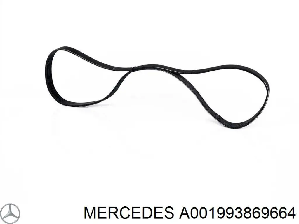 A001993869664 Mercedes correa trapezoidal