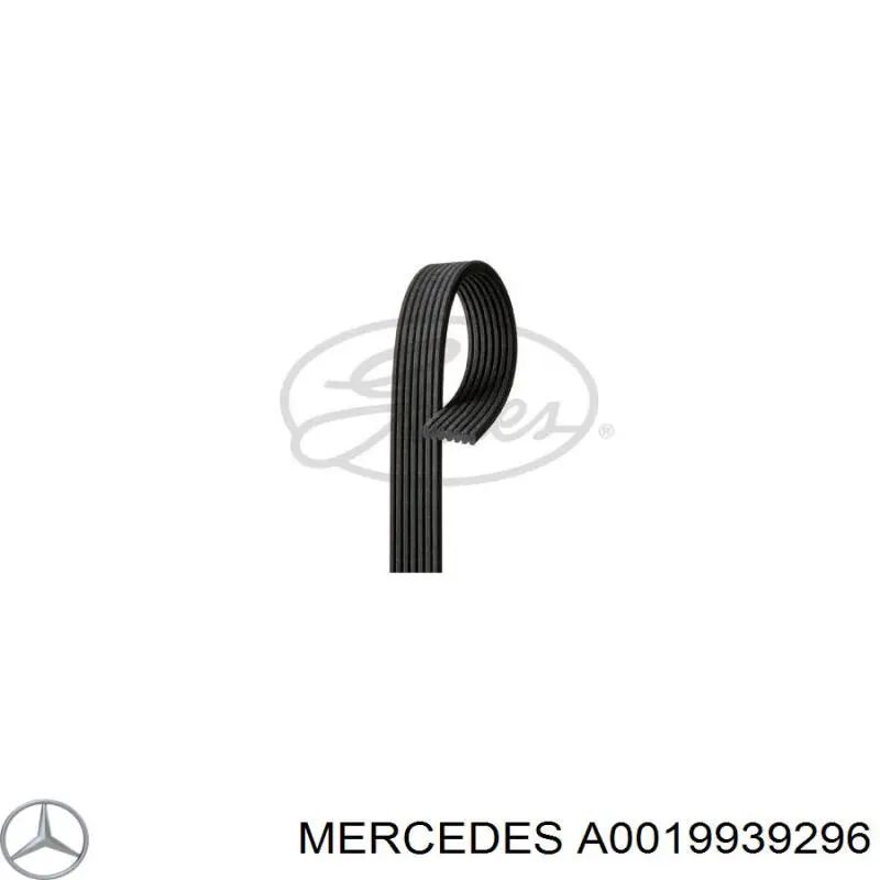 Correa de transmisión trapezoidal Mercedes A0019939296 precio, desde 31,23 EUR