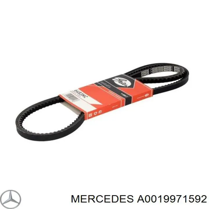 Correa accesorios Mercedes A0079972992