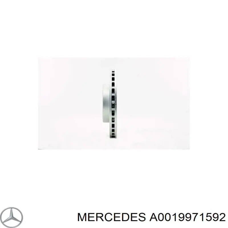 A0019971592 Mercedes correa trapezoidal