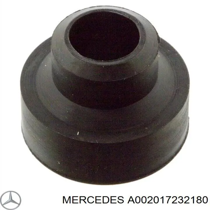 2017232180 Mercedes inyector de combustible