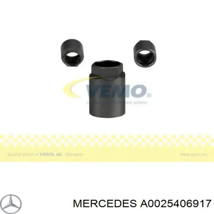 Sensor De Presion De Neumaticos Renault Megane 1 LA0, LA1